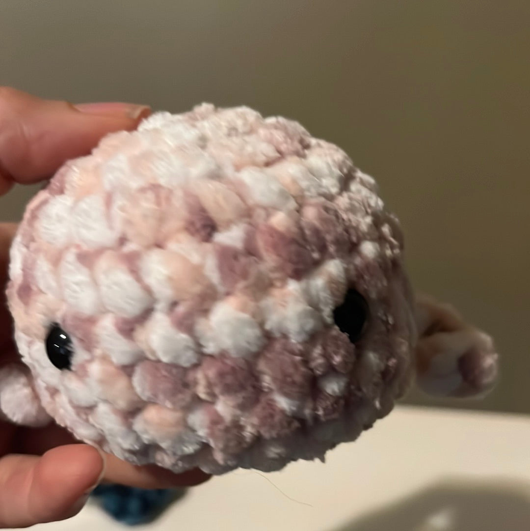 Worry whale