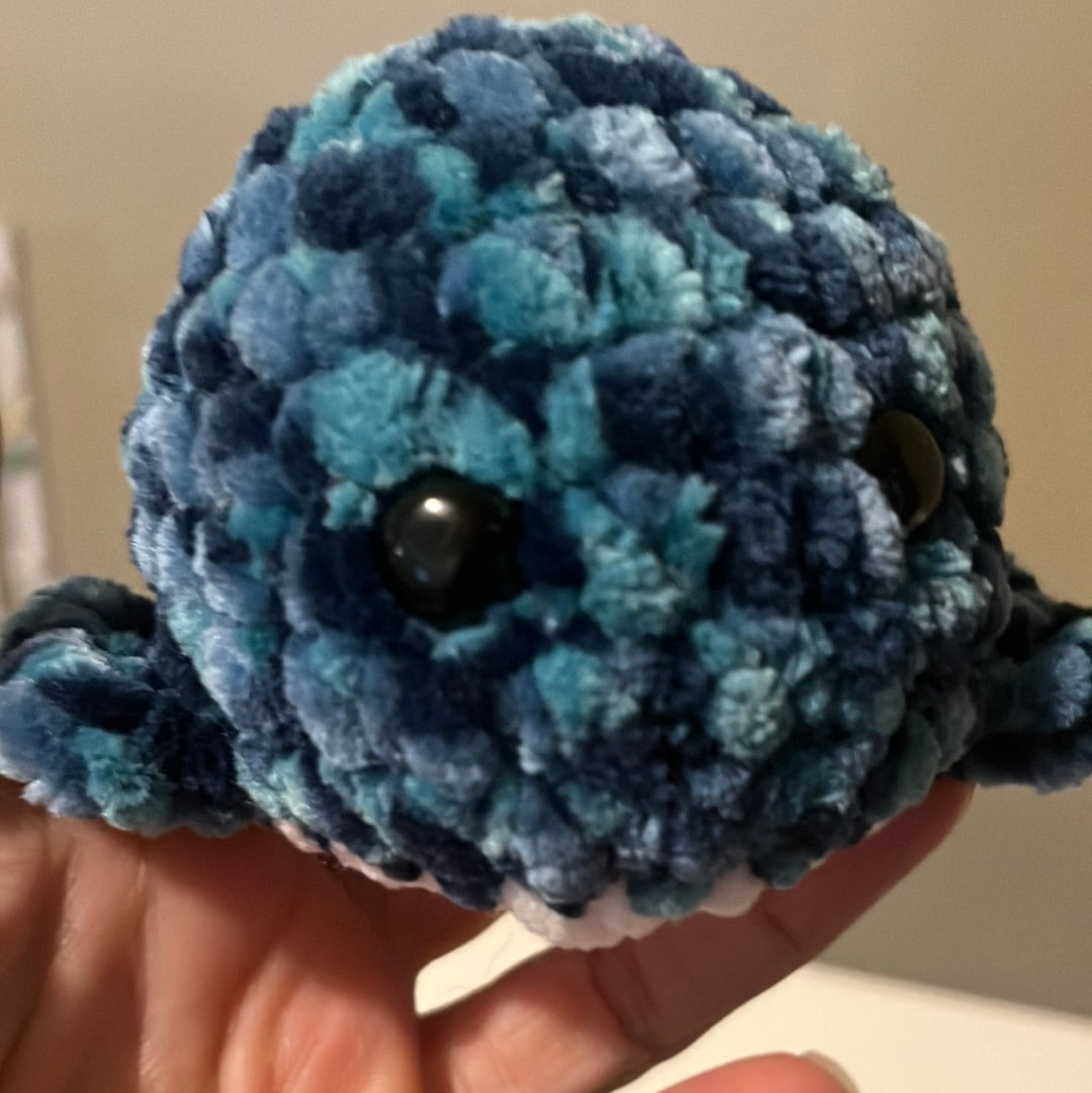 Worry whale